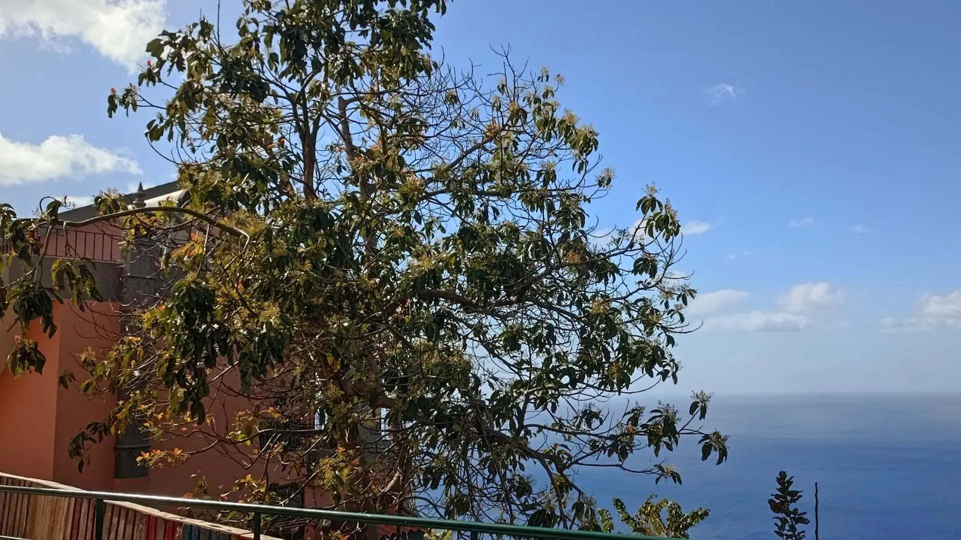 Πανσιόν Casa Bela Vista Studio 1 Ribeira Brava Πορτογαλία