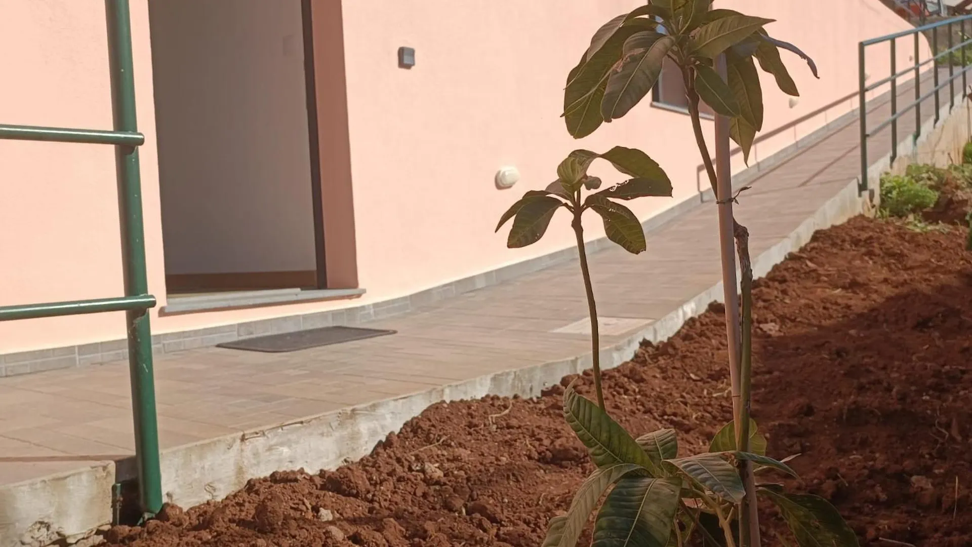 Πανσιόν Casa Bela Vista Studio 1 Ribeira Brava Πορτογαλία